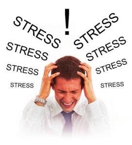 Stress Coach Limburg