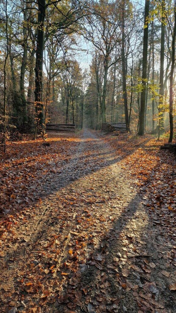 zelfvertrouwen